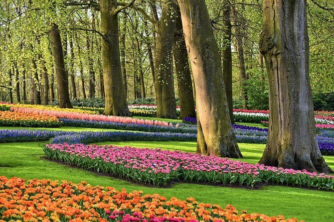 Keukenhof Gardens and Tulips Private Tour from Amsterdam - Hotel Pickup and Skip-the-Line Access That Actually Saves Time