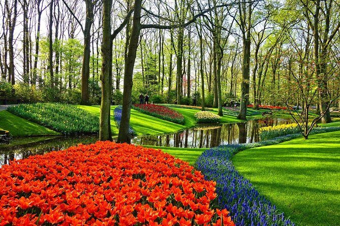 Keukenhof Gardens and Tulips Private Tour from Amsterdam - Private Mercedes Comfort and Driver Help With Photos