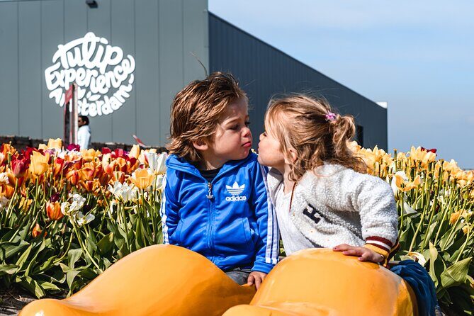 Keukenhof Gardens and Tulips Private Tour from Amsterdam - Price Per Person: When This Private Plan Is Good Value