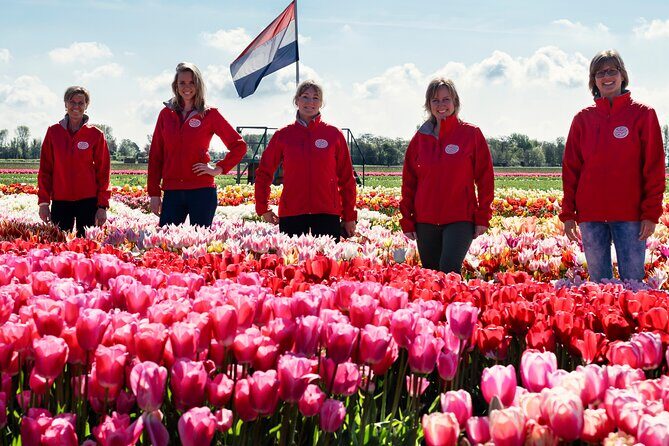 Keukenhof Gardens and Tulips Private Tour from Amsterdam - What If You’re Traveling With a Bigger Group?