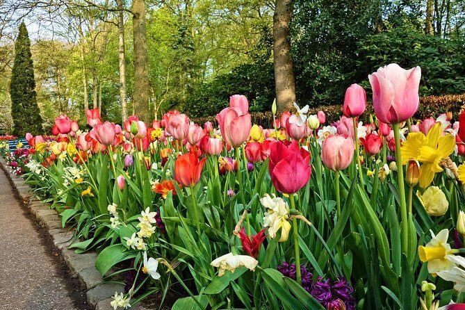 Keukenhof Gardens and Tulips Private Tour from Amsterdam - Small Things to Watch For: Pickup Location and Timing in April