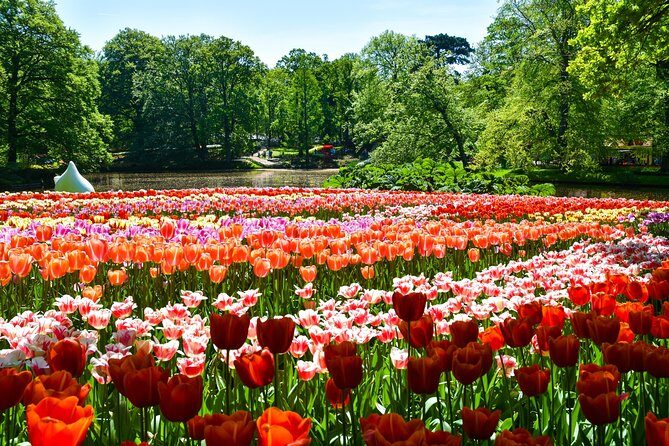 Keukenhof Gardens & Tulip Experience Tour from Amsterdam - How non-guided time changes what you should do at Keukenhof