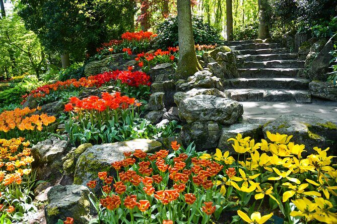 Keukenhof Gardens & Tulip Experience Tour from Amsterdam - Who this tour suits best (and who should look elsewhere)