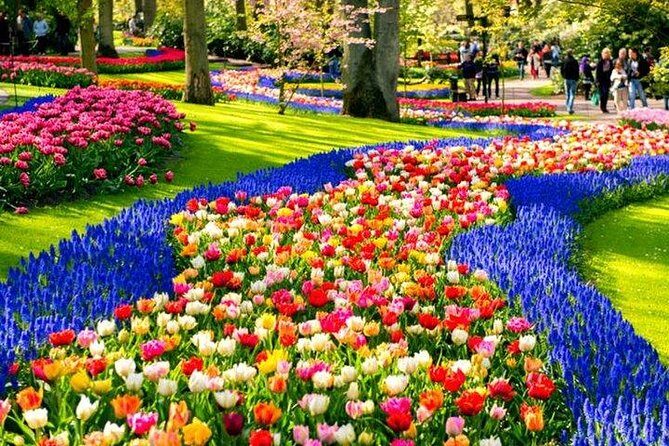Keukenhof Skip-the-line Tickets: Countryside & Farm Private Tour - Key highlights to plan around