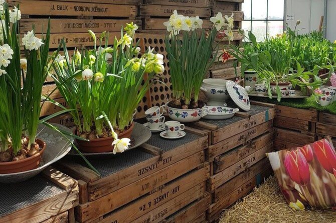 Keukenhof Skip-the-line Tickets: Countryside & Farm Private Tour - Why this Keukenhof countryside day beats a standard day trip