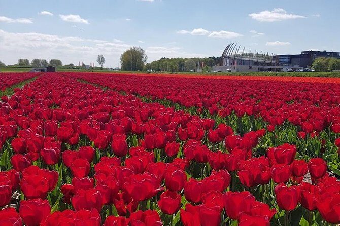 Keukenhof Skip-the-line Tickets: Countryside & Farm Private Tour - The full 8-hour flow: when the day feels long and when it doesn’t