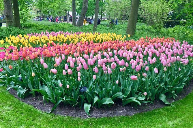 Keukenhof, Zaanse Schans Windmills Private Tour with Lunch - How a private Amsterdam day trip stays stress-free