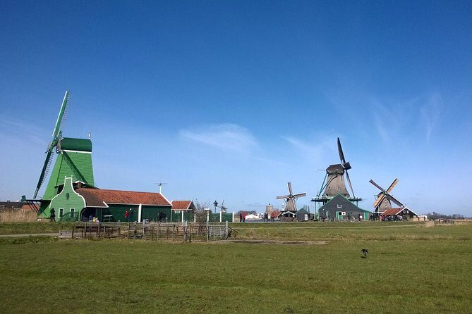Keukenhof, Zaanse Schans Windmills Private Tour with Lunch - Lunch and pacing: the included meal that actually fuels the day