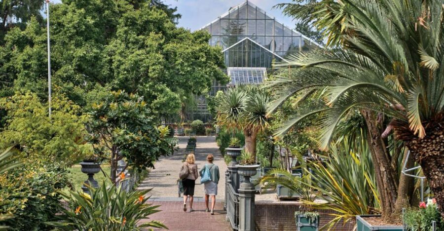 Leiden: Hortus Botanicus Entry Ticket - Front Garden first: bulbs, monumentality, and the garden’s old-school layout