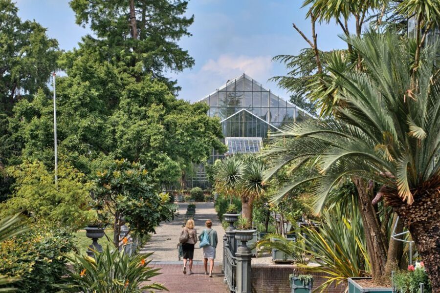 Leiden: Hortus Botanicus Entry Ticket - Japanese Garden: a plant exchange you can actually walk through