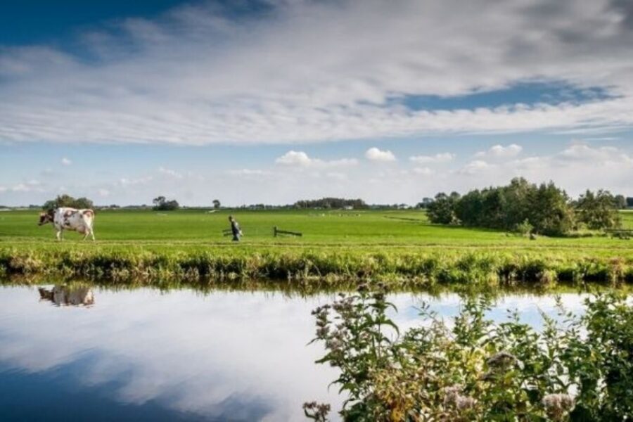 Leiden: Windmill and Countryside Cruise near Keukenhof - Key Highlights You’ll Feel Right Away