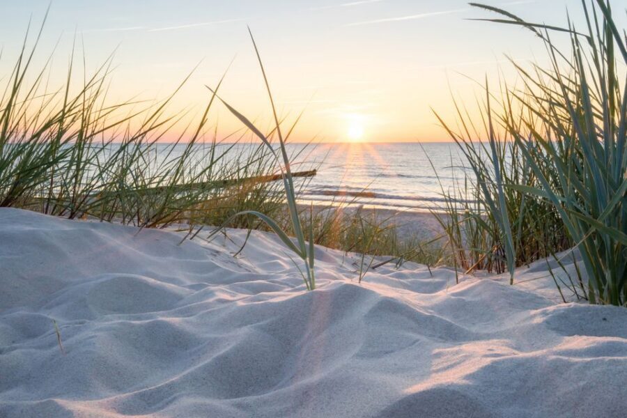Lisse: Drive-it-Yourself Electric Dune & Beach Audio Tour - Driving South Holland in a Renault Twizy: what it feels like