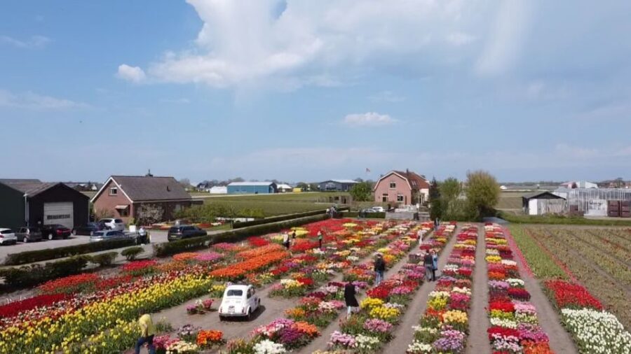 Lisse: Enjoy the Tulip Fields by Bike with a Local Guide! - Traditional village streets and the café pause that resets your ride