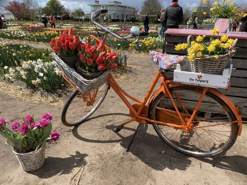 Lisse: Enjoy the Tulip Fields by Bike with a Local Guide! - The tulip farm stop: drink time and a show garden walk