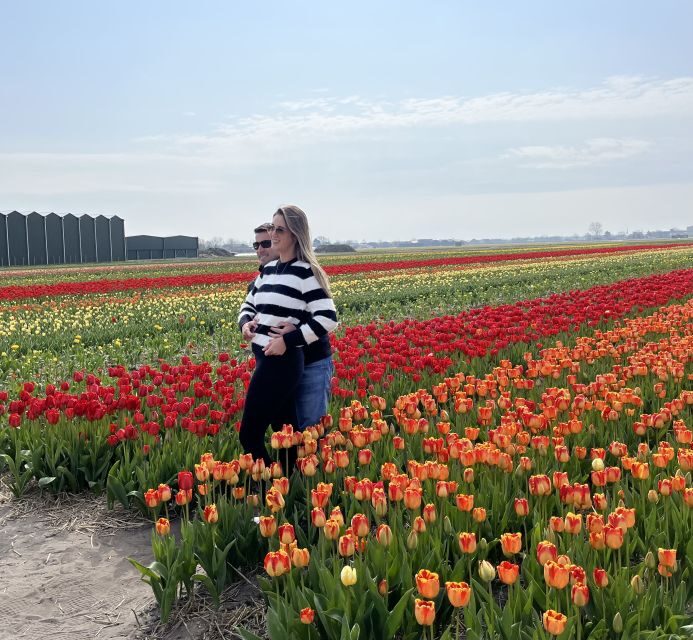Lisse: Enjoy the Tulip Fields by Bike with a Local Guide! - Price and value: does $58 feel fair?