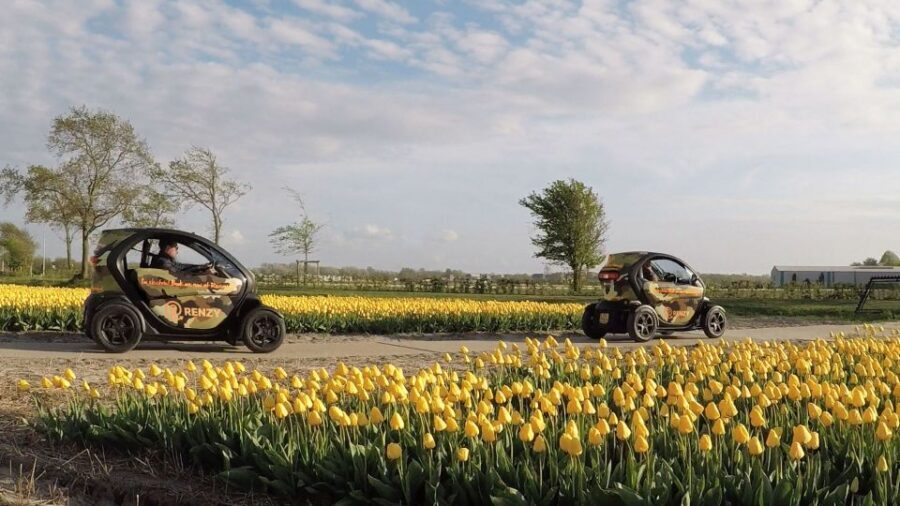 Lisse: Self-Guided Tulip Fields GPS Audio Tour - Practical stuff that will save your day