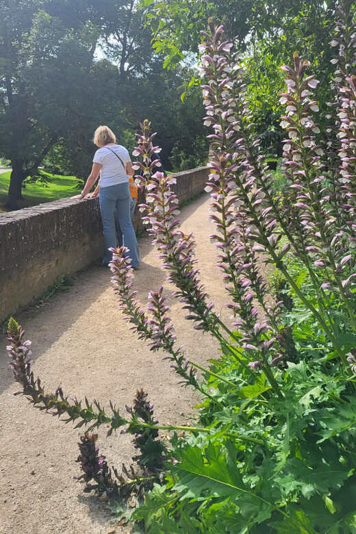 Maastricht Hidden Gems Tour Uncover the Unexpected - Jekerkwartier and the river wall: Maastricht shaped by water