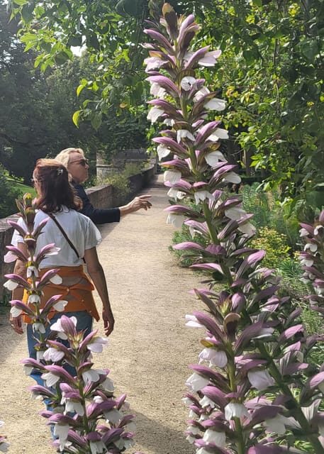 Maastricht Hidden Gems Tour Uncover the Unexpected - Het Vagevuur to Vrijthof: squares where stories meet daily life