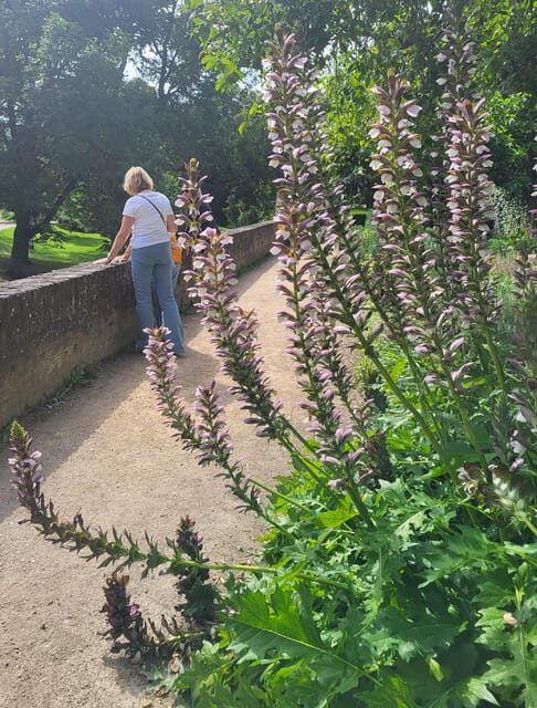 Maastricht Hidden Gems Tour Uncover the Unexpected - Meeting near Maastricht-Centrum: getting your bearings in 10 minutes