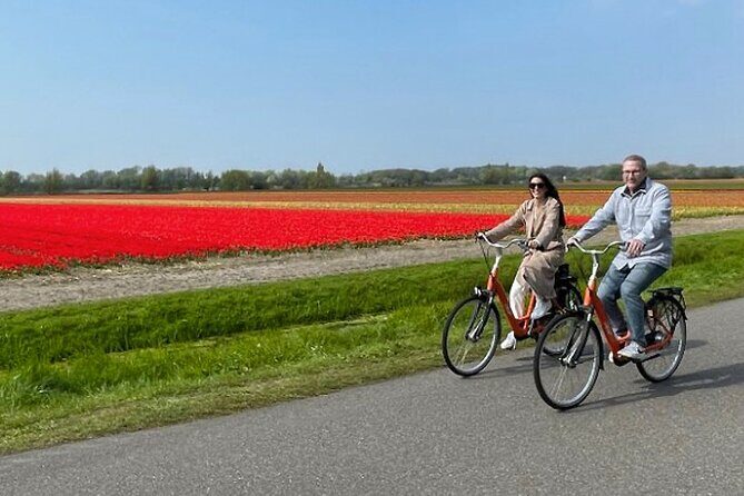 Private Day Tour to Keukenhof Gardens - from Amsterdam/Rotterdam - Skip-the-line entry and your tulip primer at Keukenhof