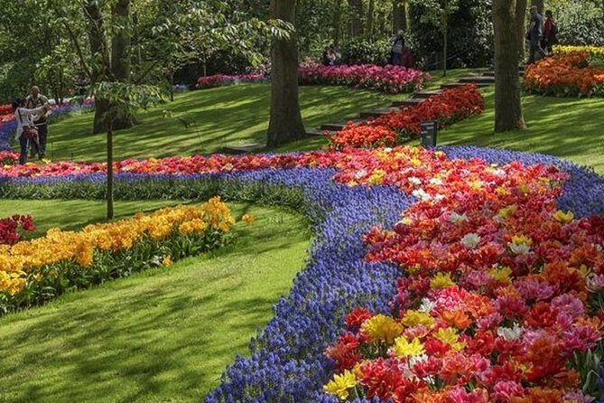Private Day Tour to Keukenhof Gardens - from Amsterdam/Rotterdam - When spring weather goes sideways: guides who keep the day good