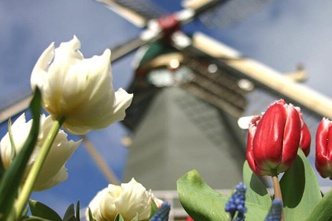 Private Day Tour to Keukenhof Gardens - from Amsterdam/Rotterdam - Value and logistics: what the $23 price really means