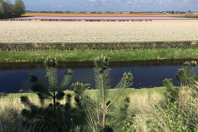 Private daytour from Amsterdam into the Countryside - Volendam harbor: snack time, boat views, and sea-air photos