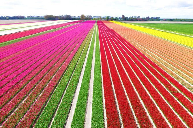 Private Keukenhof Park and Tulip Fields Tour (Skip-The-Line) - Quick take: the parts that matter most