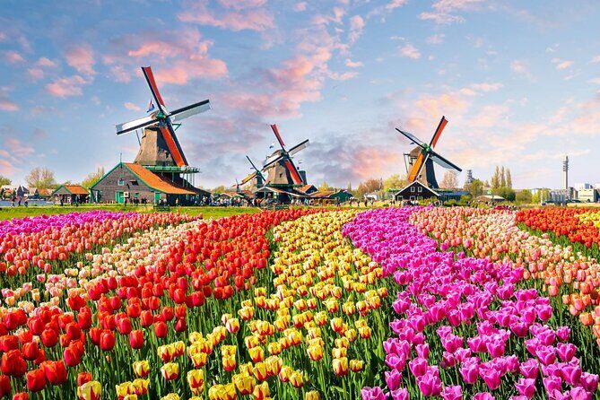 Private Keukenhof Park and Tulip Fields Tour (Skip-The-Line) - Why this Keukenhof day feels easier than doing it alone