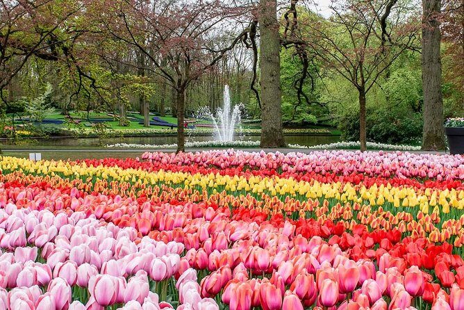 Private Keukenhof Park and Tulip Fields Tour (Skip-The-Line) - Keukenhof Gardens: more than a walk among flowers