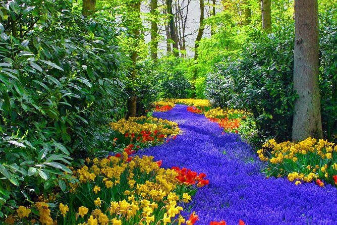 Private Keukenhof Park and Tulip Fields Tour (Skip-The-Line) - Skip-the-line and mobile tickets: how to protect your day