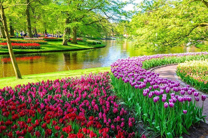 Private Keukenhof Park and Tulip Fields Tour (Skip-The-Line) - Getting picked up in Amsterdam (and not wasting springlight)