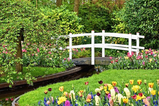 Private Tulip Fields, Windmills and Cheese Tour from Amsterdam - A private day of tulips, windmills, and Dutch cheese