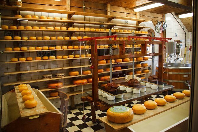 Private Tulip Fields, Windmills and Cheese Tour from Amsterdam - How the timing works across the full 8 hours
