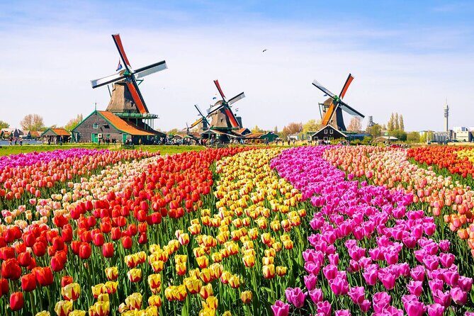 Private Zaanse Schans & Volendam Tour: Windmills, Cheese & Clogs - Should you book this Windmills, Cheese & Clogs private tour?