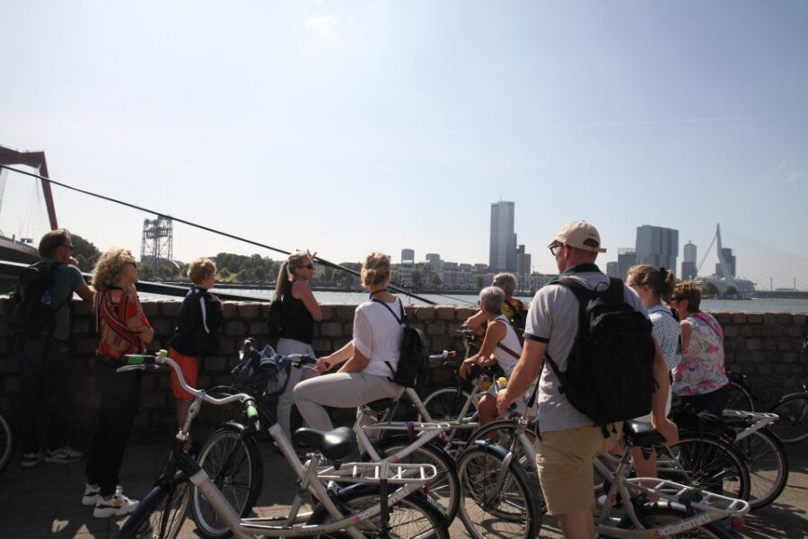 Rotterdam: 2.5-Hour Highlights Bike Tour - Erasmus Bridge and the parks: crossing the city’s mood