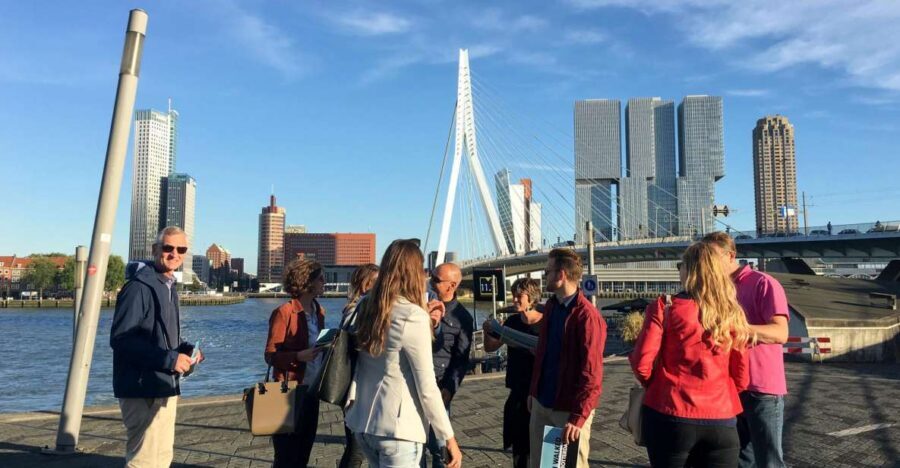Rotterdam 2-Hour Grand Walking Tour - Start at Rotterdam Central Station’s New Gate