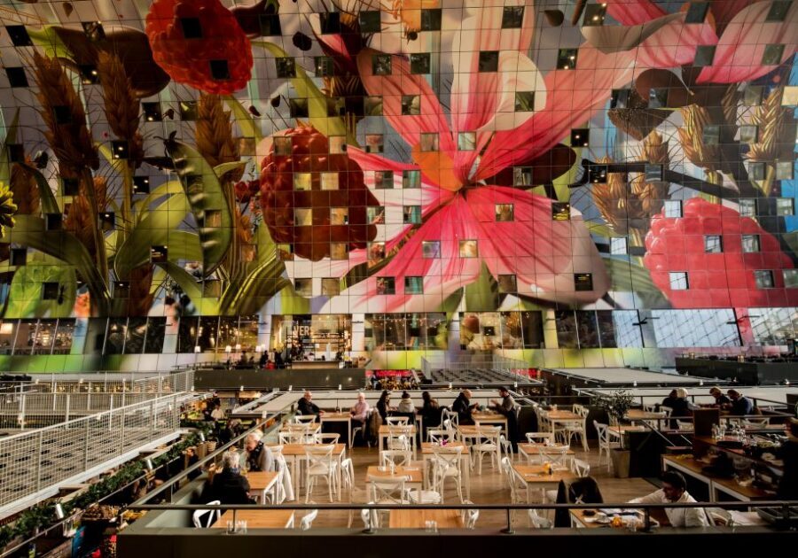 Rotterdam: 2-Hour Guided Walking Tour - Erasmus Bridge and Coolsingel shopping streets: the city in motion