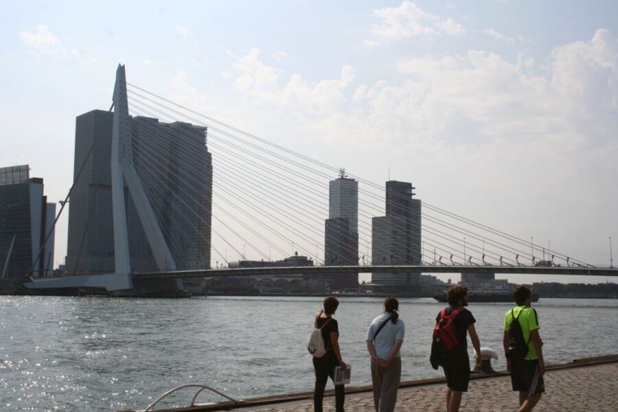 Rotterdam: Architectural Highlights Guided Walking Tour - Should you book this Rotterdam architecture walk?