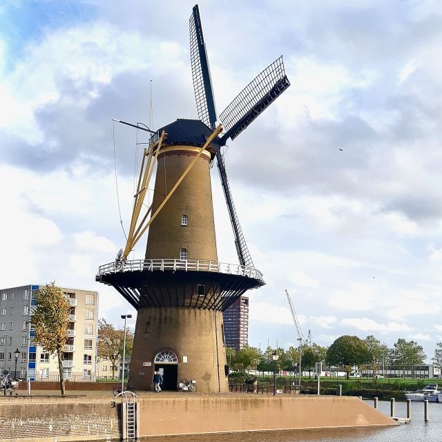 Rotterdam: Breweries and Water Taxi Tour - Five beers and snacks: pacing that keeps the fun going