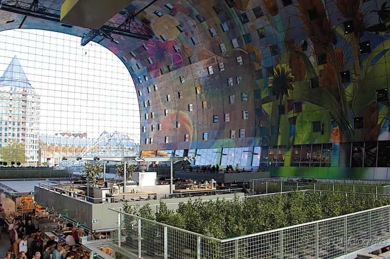 Rotterdam: City Center Walking Tour - Quick take: what you’ll notice right away
