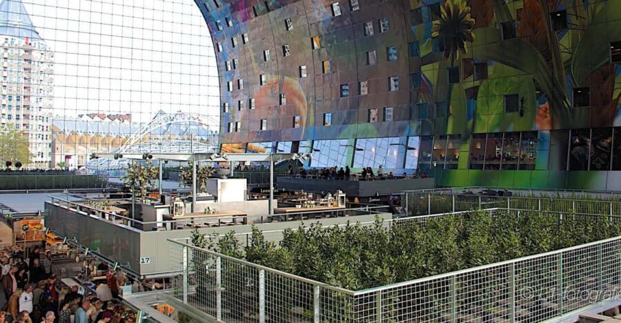Rotterdam: City Center Walking Tour - Rotterdam Central Station: modern architecture as your first lesson