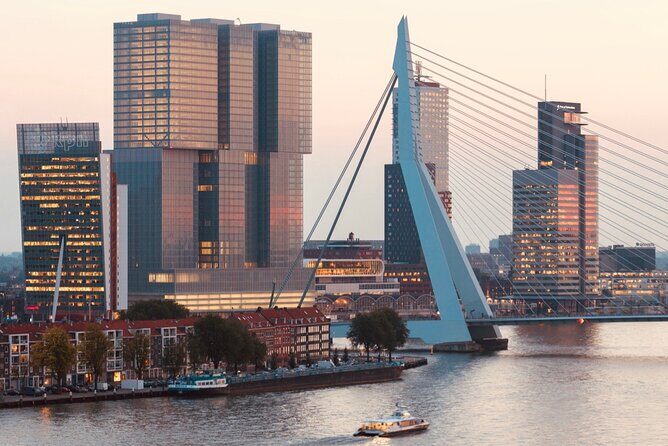 Rotterdam, Delft and The Hague Small Group Tour from Amsterdam - Guide style and small-group pacing: what you should hope for