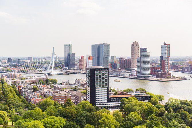 Rotterdam, Delft, the Hague, Madurodam from Amsterdam - Rotterdam river cruise: port views plus living commentary