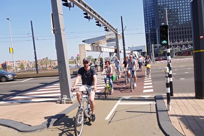 Rotterdam Highlights Bike Tour - Swan nickname bridge, Wilhelminapier, and the port story you’ll remember