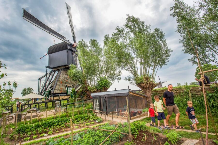 Rotterdam: Kinderdijk UNESCO World Heritage Entry Ticket - What this Kinderdijk ticket is really buying you