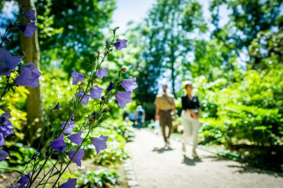 Rotterdam: Trompenburg Botanical Gardens Entry Ticket - Price and value: is $15 per person a good deal?