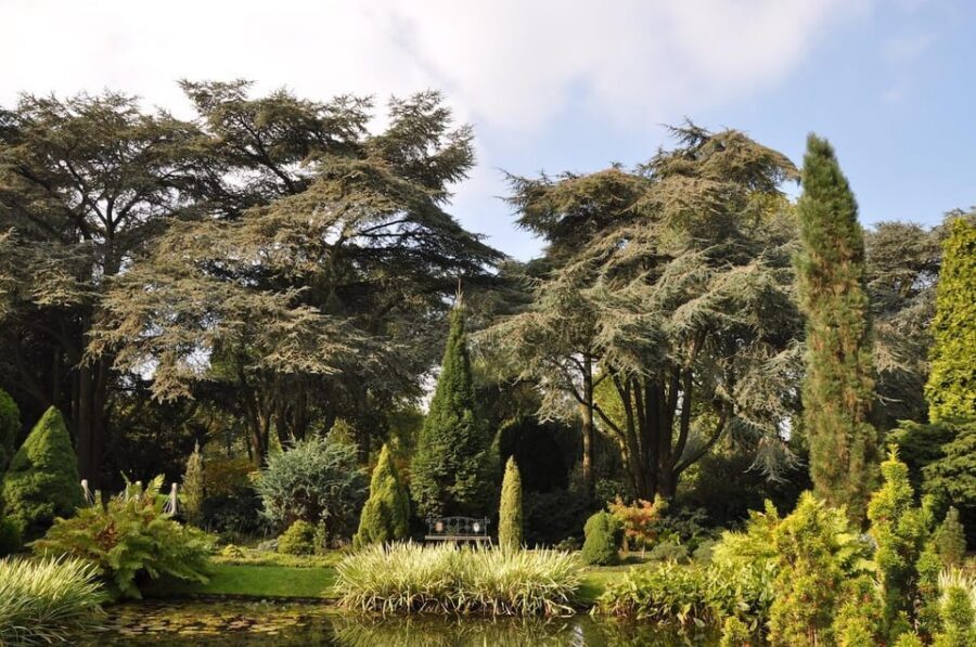 Rotterdam: Trompenburg Botanical Gardens Entry Ticket - Seasons matter here: plan your timing with intent