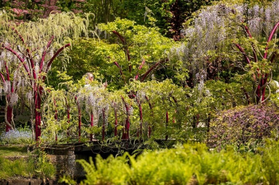 Rotterdam: Trompenburg Botanical Gardens Entry Ticket - Sunday afternoons: guided walks, workshops, and lectures