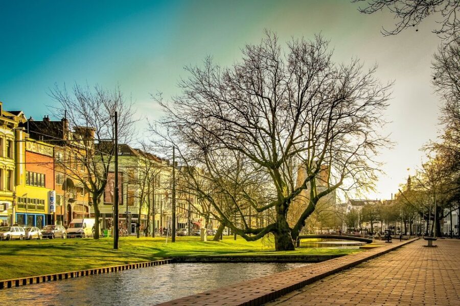 Rotterdam Walking Tour and Harbor Cruise - Who This Private Rotterdam Tour Is Best For